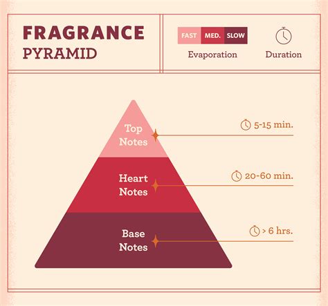 perfume search by notes